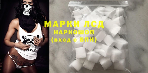 твердый Аркадак