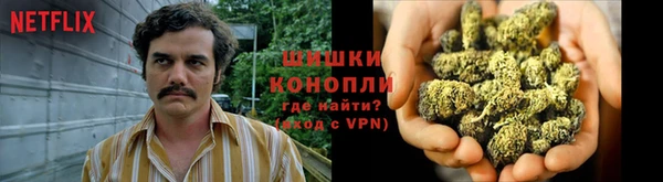 твердый Аркадак