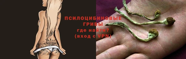 стафф Армянск